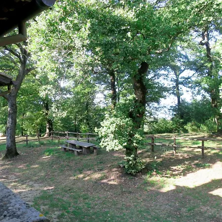 L'olivo By Interhome Appartamento *